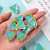 Transparent Enamel Acrylic Beads TACR-S155-001G-5