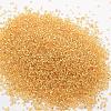 12/0 Round Glass Seed Beads SEED-J018-F12-62-2