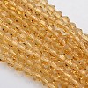 Bicone Glass Beads Strands EGLA-P016-4mm-08-1