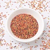 MIYUKI Delica Beads SEED-MY11-DB2063-2