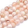 Natural Cherry Blossom Agate Beads Strands G-I213-23-6mm-1