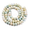 Ombre Effect Dyed Glass Beads Strands X-GLAA-C023-02-B02-2