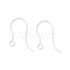 Transparent Resin Earring Hooks RESI-G050-02-1