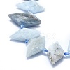 Natural Aquamarine Bead Strands G-O179-H26-3