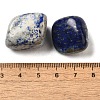 Natural Lapis Lazuli Beads G-O029-08V-3