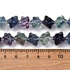 Natural Fluorite Beads Strands G-NH0063-01-5