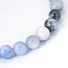 Natural Sodalite Round Bead Strands G-E334-10mm-08-2