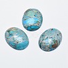 Regalite/Imperial Jasper/Sea Sediment Jasper Cabochons G-E464-42G-1