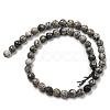 Natural Map Stone/Picasso Stone/Picasso Jasper Beads Strands G-C079-B05-02-3