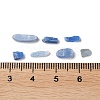 Natural Kyanite/Cyanite/Disthene Chip Beads Beads G-L588-01-3