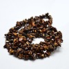 Chip Natural Tiger Eye Beads Strands G-N0134-09-2
