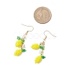 Glass Dangle Earrings EJEW-MZ00518-4