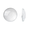 Transparent Glass Cabochons GGLA-R026-16mm-1