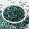MIYUKI Round Rocailles Beads SEED-X0055-RR3741-2