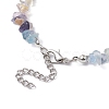 Natural Fluorite Chip Beaded Necklace NJEW-JN04615-11-5