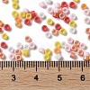 Baking Paint Glass Seed Beads SEED-S042-05A-07-4