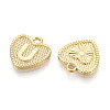 Alloy Pendants PALLOY-N157-001U-NR-2