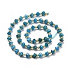 Natural Apatite Beads Strands G-P463-29-3