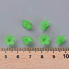 Transparent Acrylic Beads X-PL554-13-6