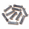 Natural Labradorite Charms G-S359-012B-1