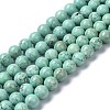 Natural Howlite Beads Strands G-C180-17C-1