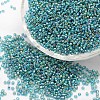 8/0 Round Glass Seed Beads SEED-J017-F8-000-1