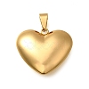 304 Stainless Steel Pendants STAS-H200-01G-02-1