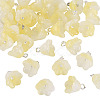 38Pcs Glass Charms GLAA-TADJ0001-19B-2