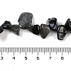 Natural Eagle Eye Stone Nuggets Beads Strands G-B125-A15-01-4