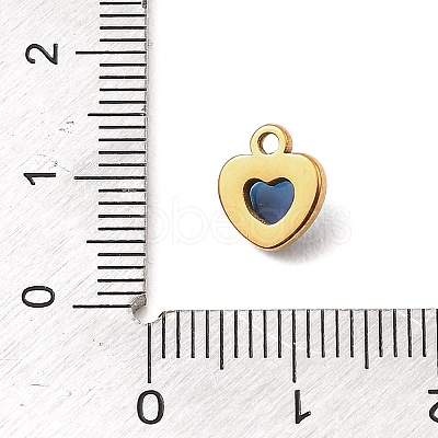 304 Stainless Steel Pendants STAS-Z199-02G-08-1