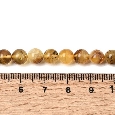 Natural Amber Beads Strands G-K376-H01-01-1