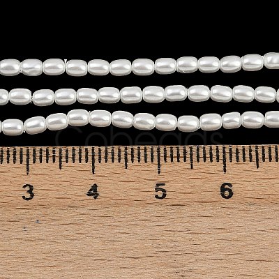 Electroplated Shell Pearl Beads Strands BSHE-H113-06A-06-1