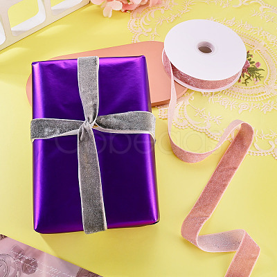10 Yards Polyester Velvet Ribbon OCOR-TA0004-13A-1