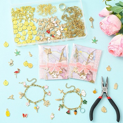 DIY Bracelet/Necklaces Makings Kits DIY-YW0018-26-1