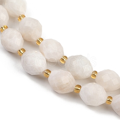 Natural White Moonstone Beads Strands G-N342-149I-13-1