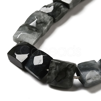 Natural Eagle Eye Stone Beads Strands G-G980-12-1