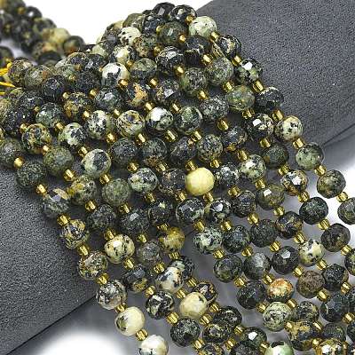 Natural African Turquoise(Jasper) Beads Strands G-K389-E71-01-1