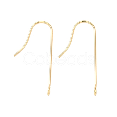 316 Surgical Stainless Steel Earring Hooks X-STAS-E027-01B-G-1