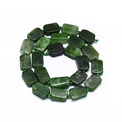 Natural Canadian Jade Beads Strands G-F725-04-1