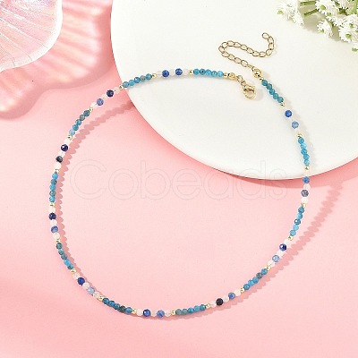 Natural Apatite Faceted Round Beaded Necklaces NJEW-JN06430-02-1