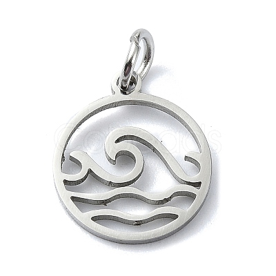 Non-Tarnish 304 Stainless Steel Charms LS-STAS-C097-63P-1