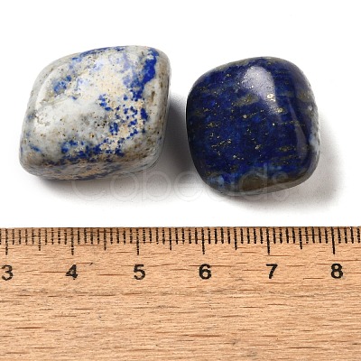 Natural Lapis Lazuli Beads G-O029-08V-1