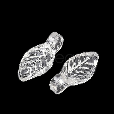 Transparent Acrylic Charms OACR-G054-02A-1