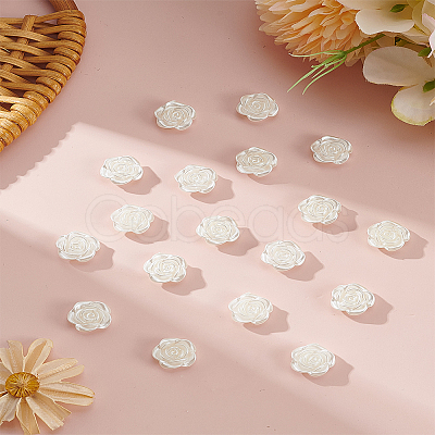 200Pcs ABS Imitation Pearl Beads OACR-LP0001-01-1
