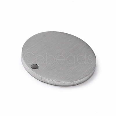 Tarnish Resistant 304 Stainless Steel Pendants STAS-F271-02B-P-1