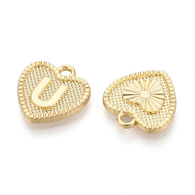 Alloy Pendants PALLOY-N157-001U-NR-1
