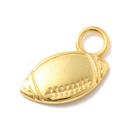 925 Sterling Silver Charms STER-Z012-04G-04-1