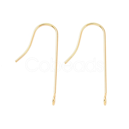 316 Surgical Stainless Steel Earring Hooks X-STAS-E027-01B-G-1