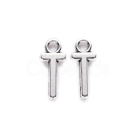 Tibetan Style Alloy Pendants TIBE-S108-108T-AS-RS-1
