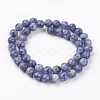 Natural Blue Spot Jasper Bead Strands X-G-R193-15-8mm-2